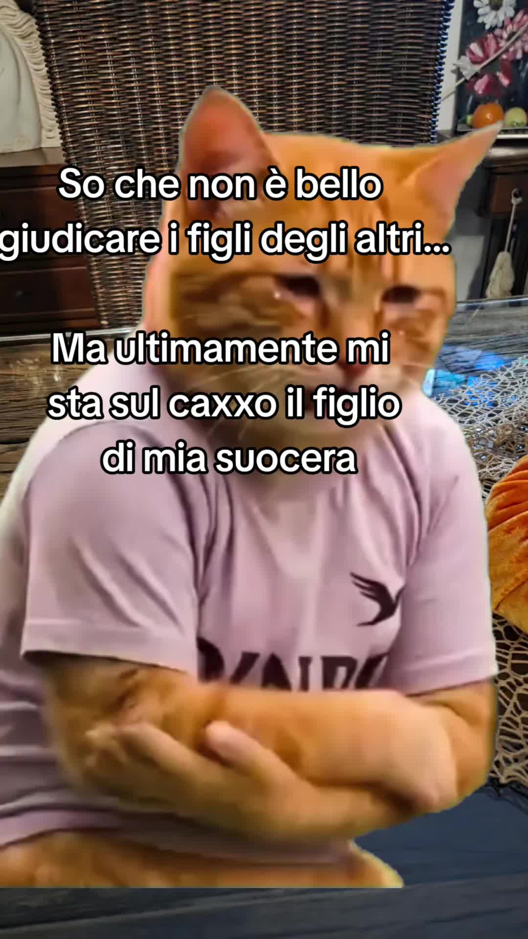 @bambola