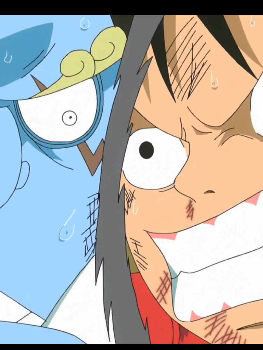 @One Piece ☠️