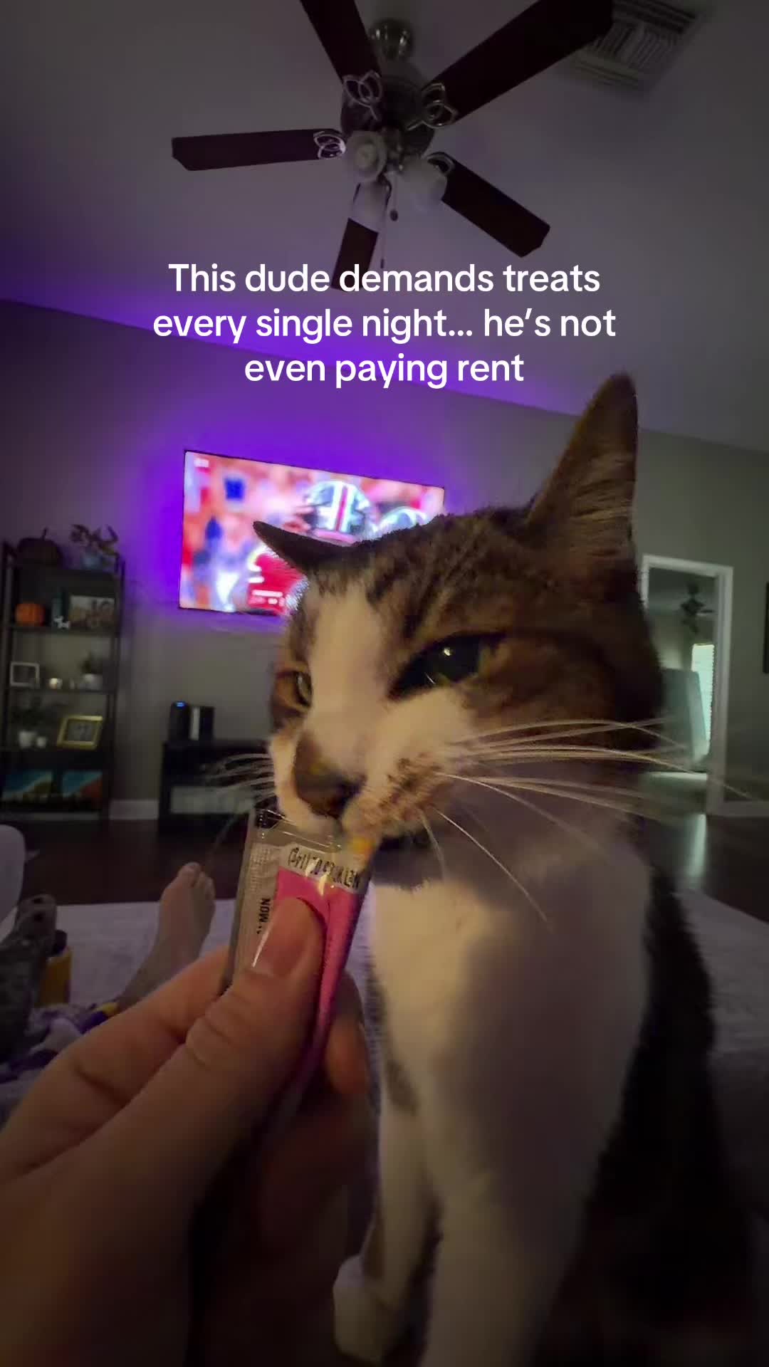 @✼ KRISTI ✼