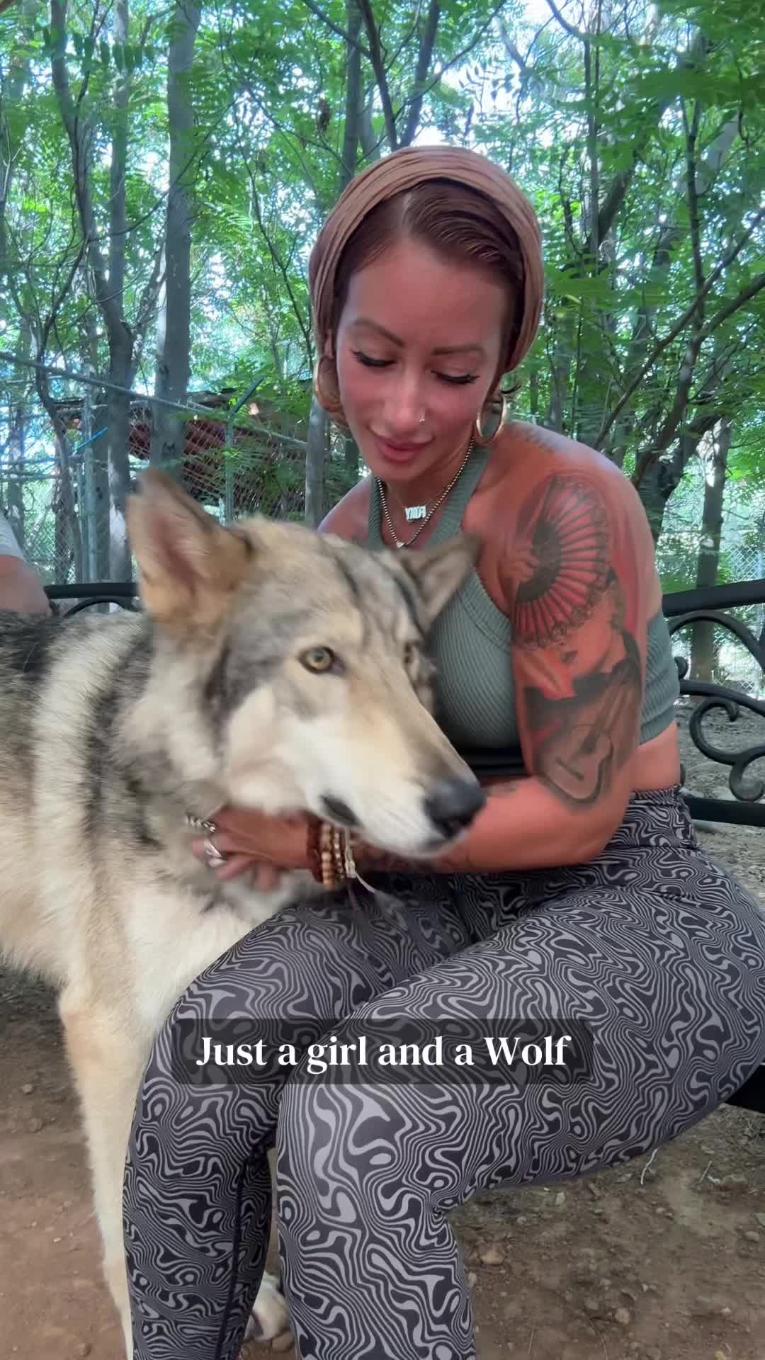 @AlexisthatFox
