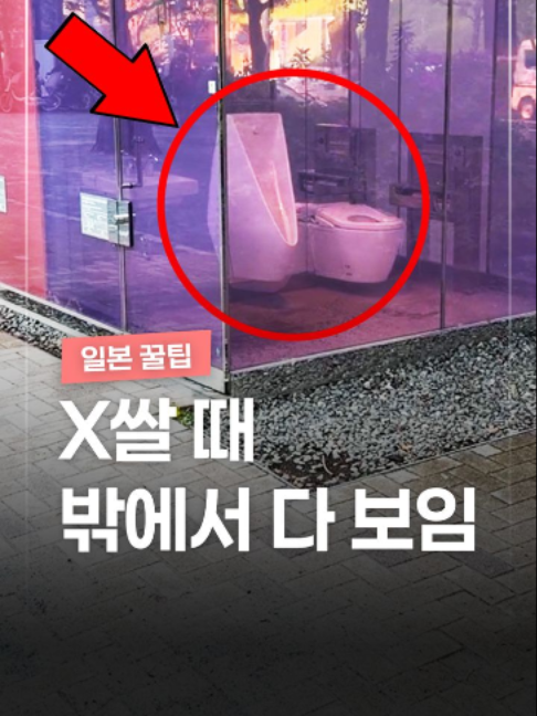 @짤컷