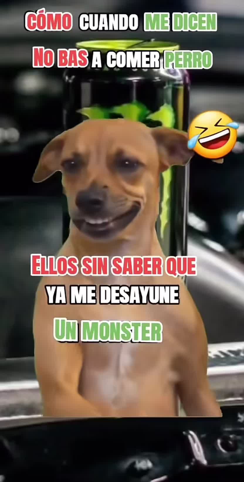 @perez