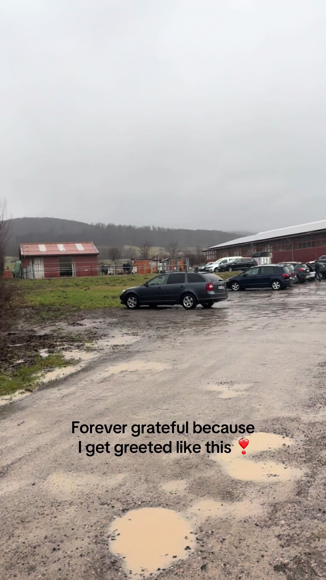 @Greta & Bacardi