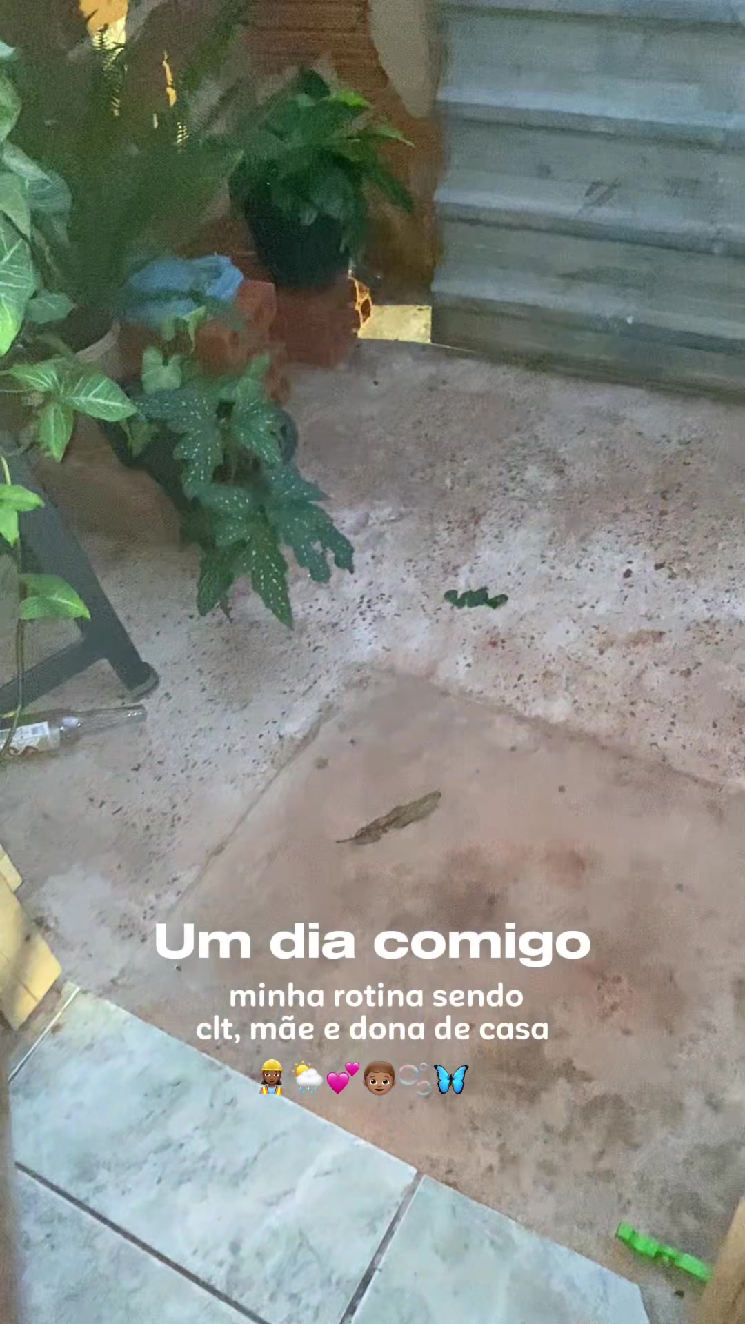 @biaa.olvr