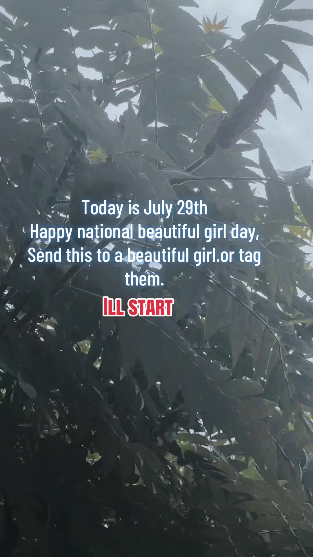 @CountryBoyCC🇺🇸🤠