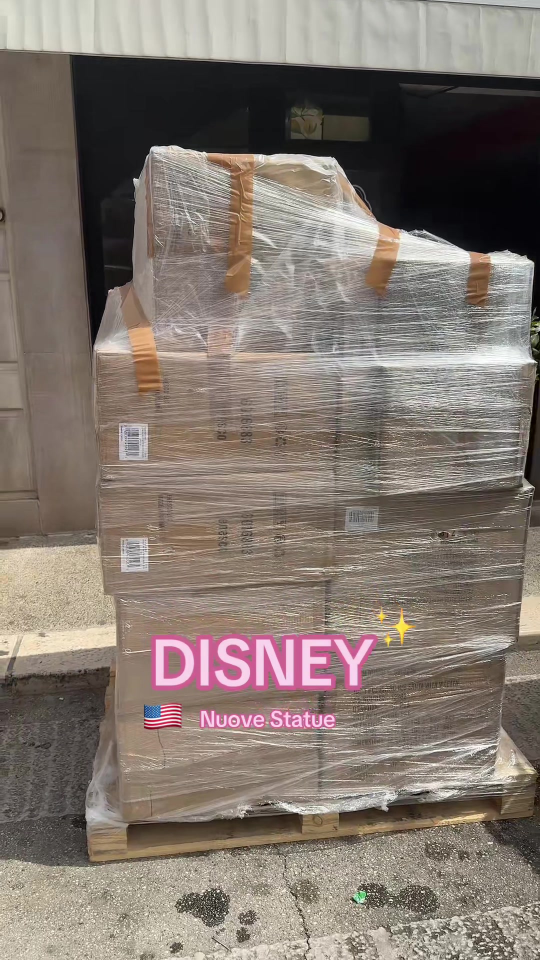 @✨Silvia Palmieri | Disney 🎡