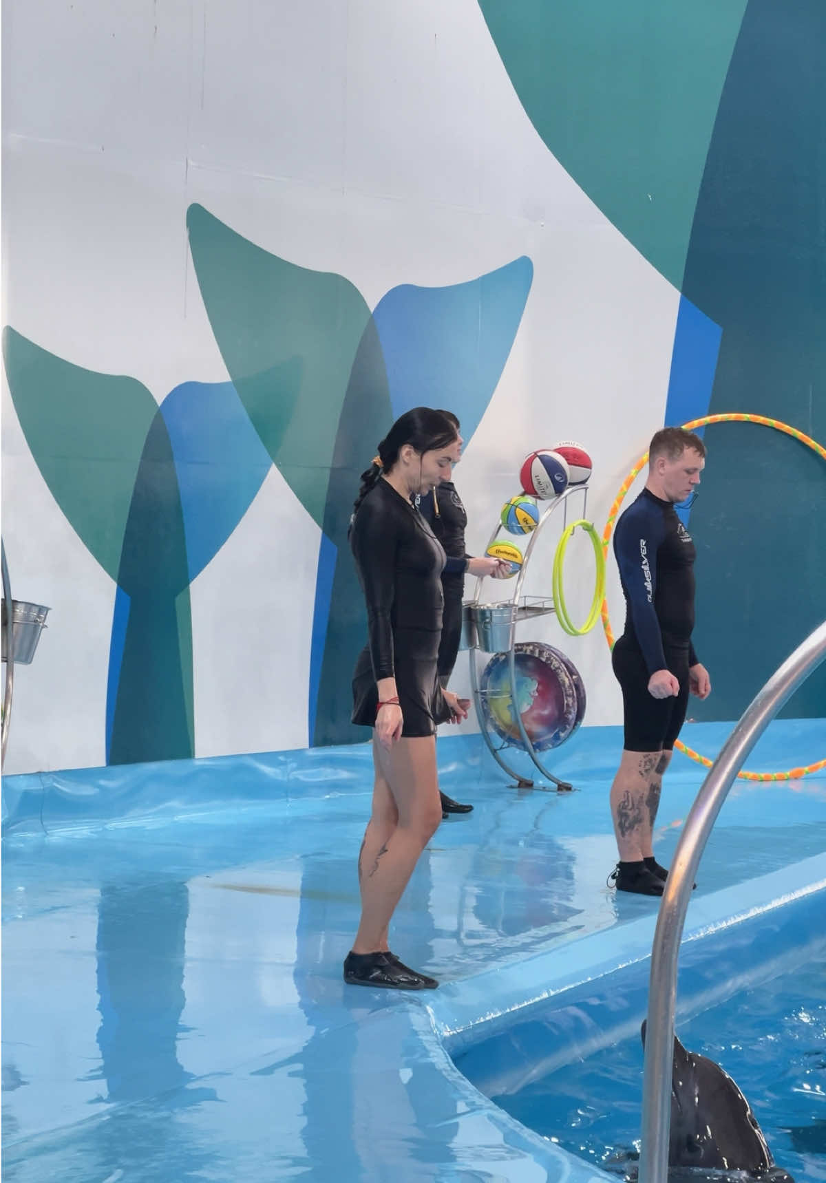 @Pattaya Dolphinarium
