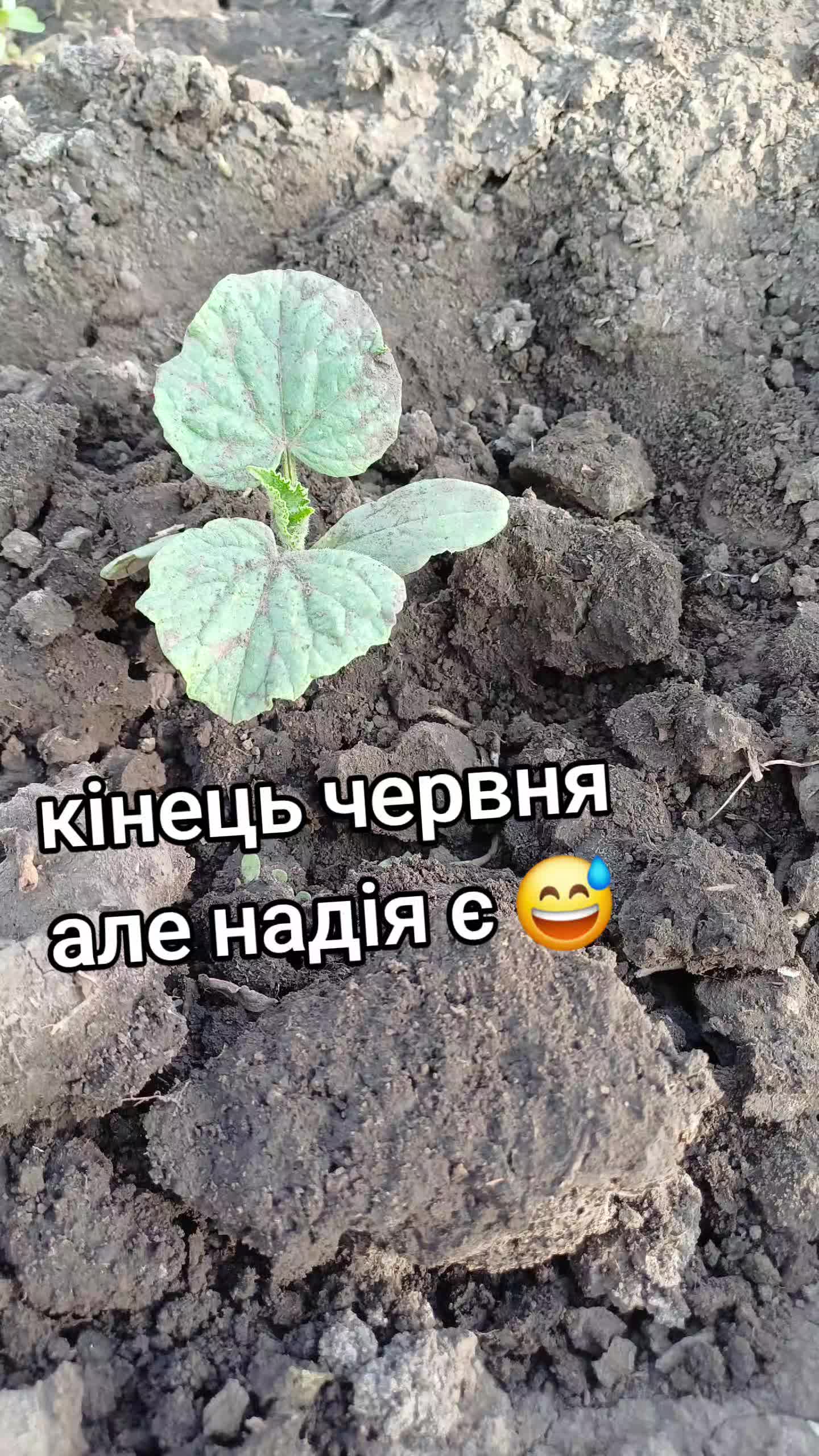 @Анна