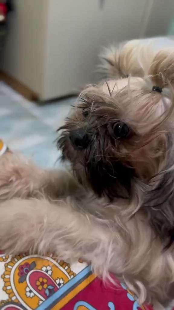 @kaithcath🦋✨