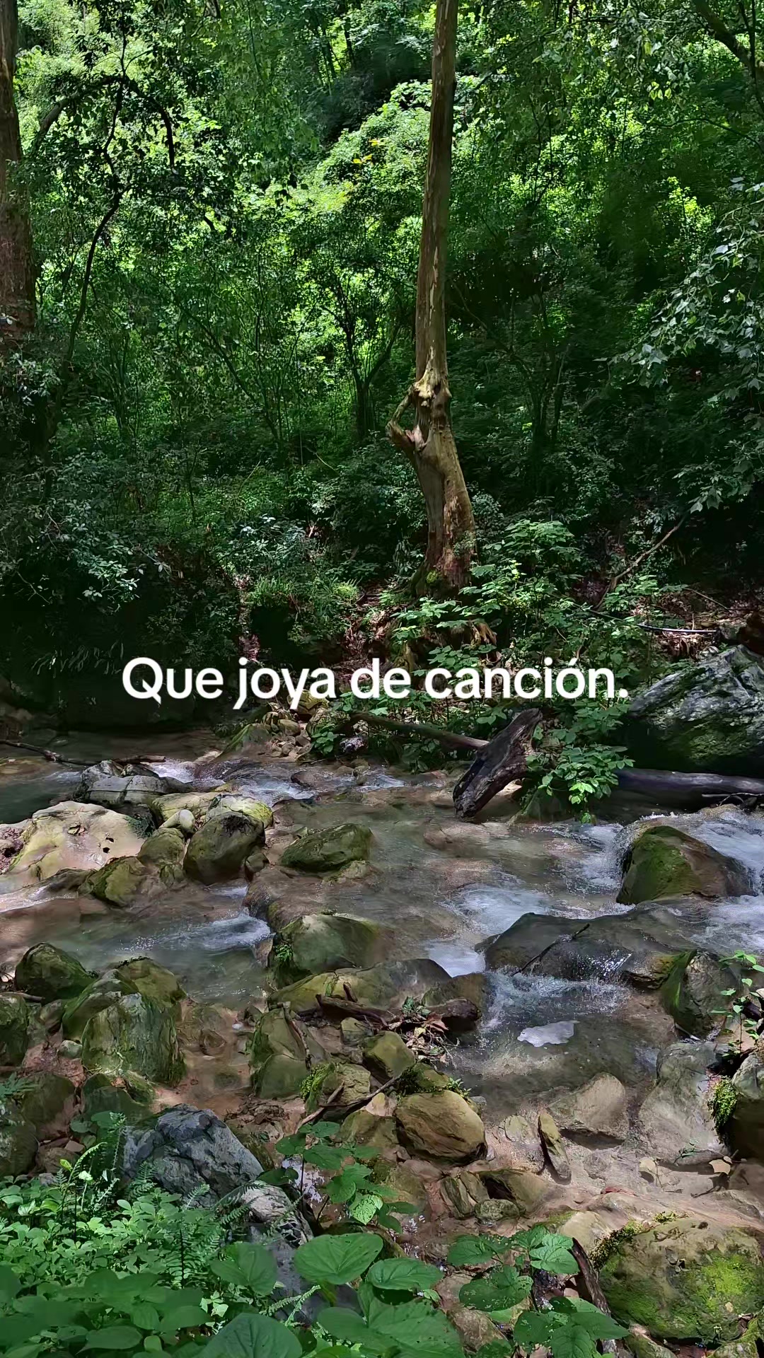@Lidia Morales