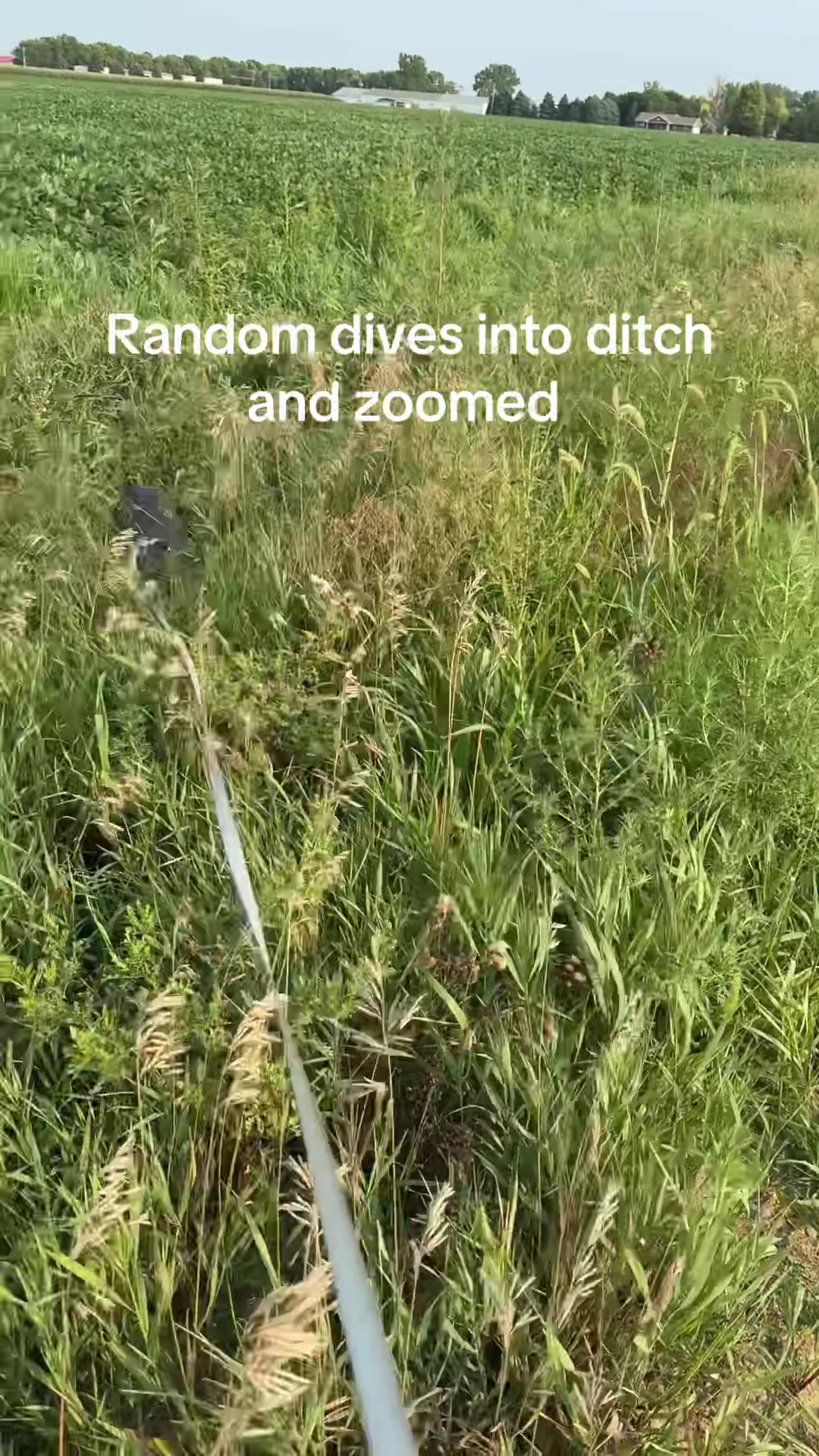 @elizasanthi