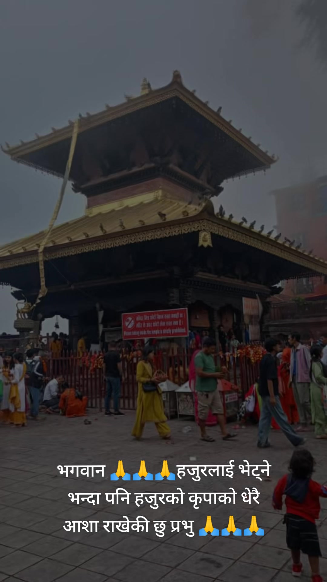 @ममता शर्मा