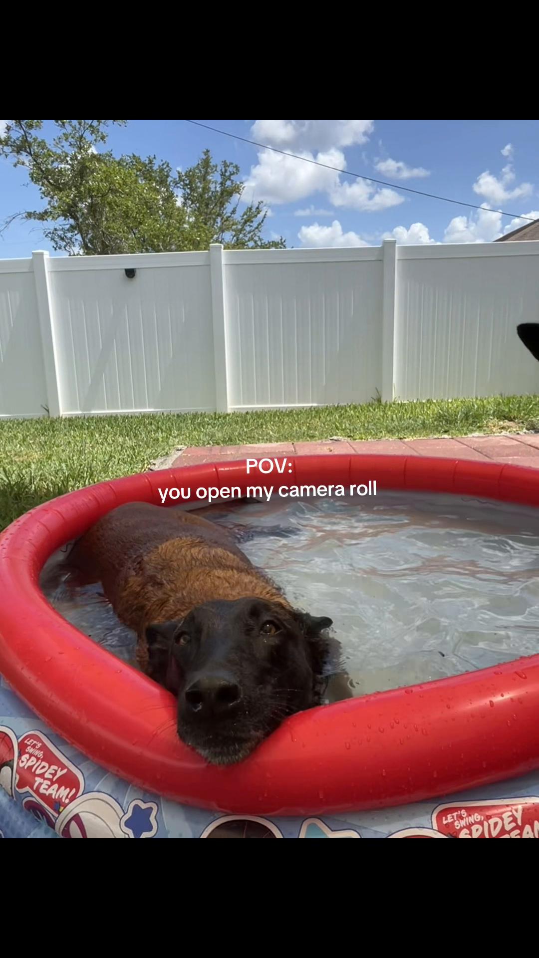 @malimom222