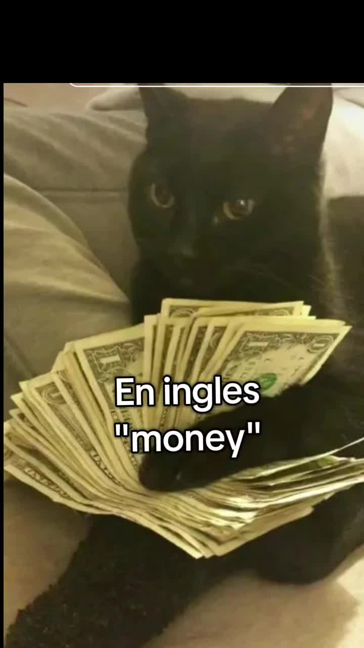 @Sindy123!