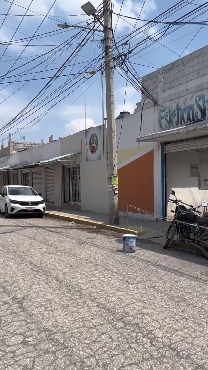 @Sin Pelos en La Pepa