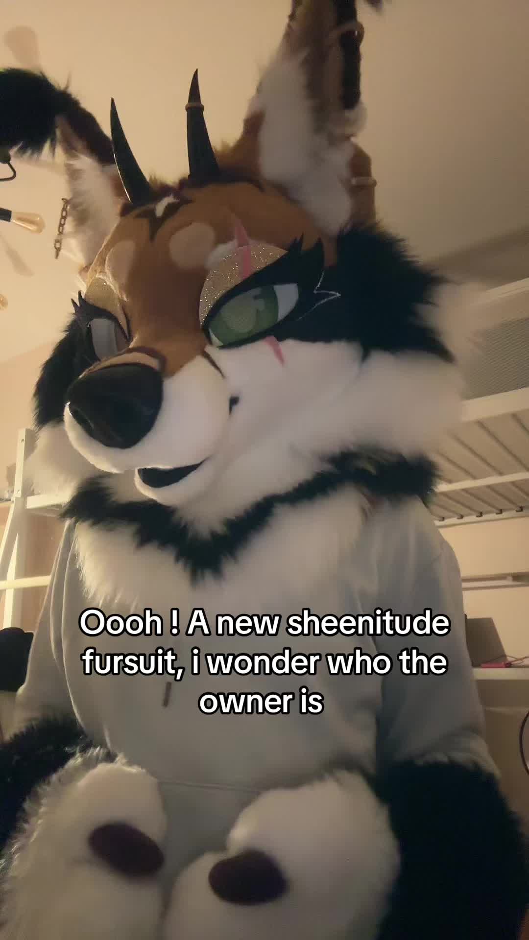 @Gagouye