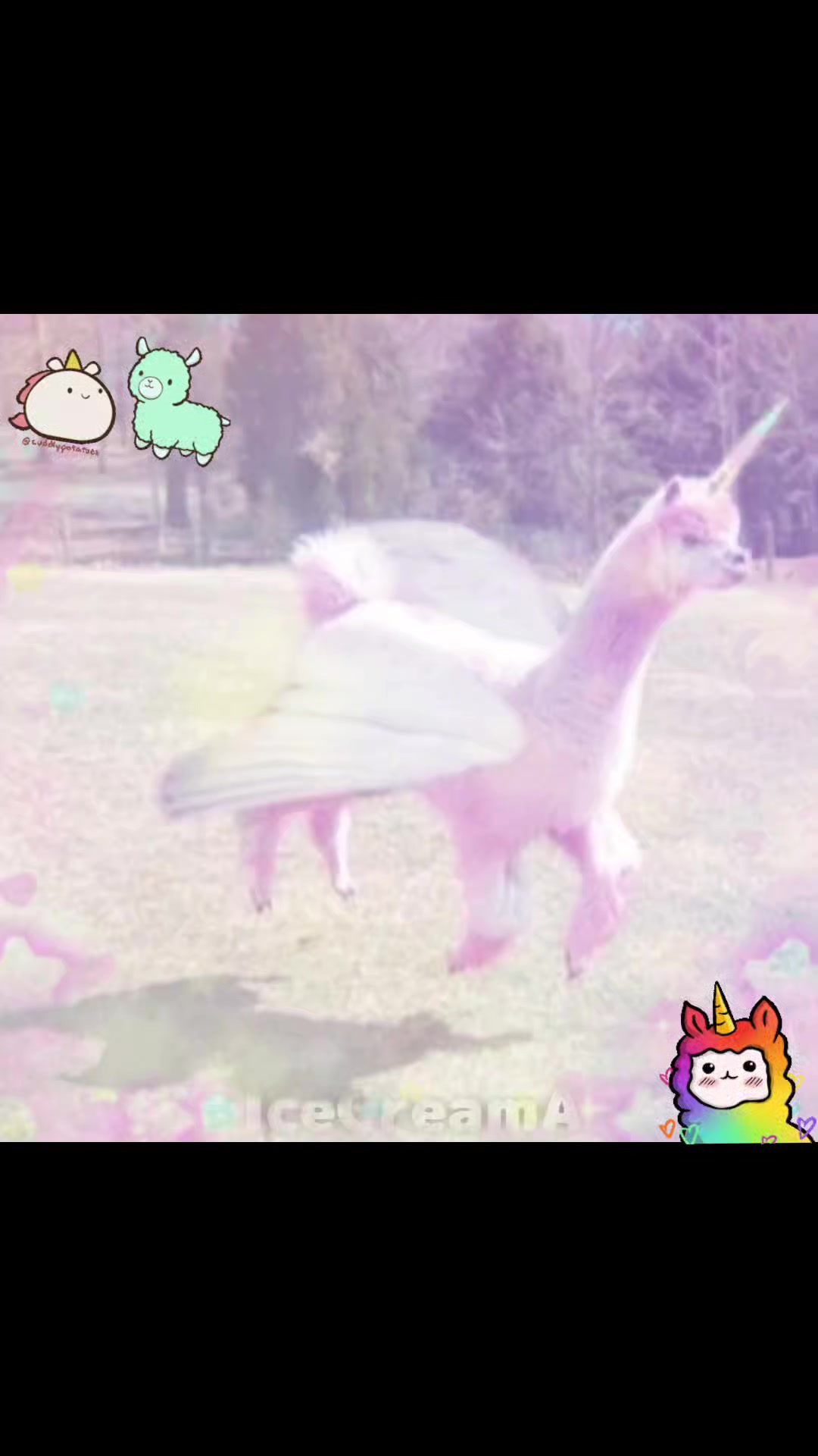 @Magical.IceCream