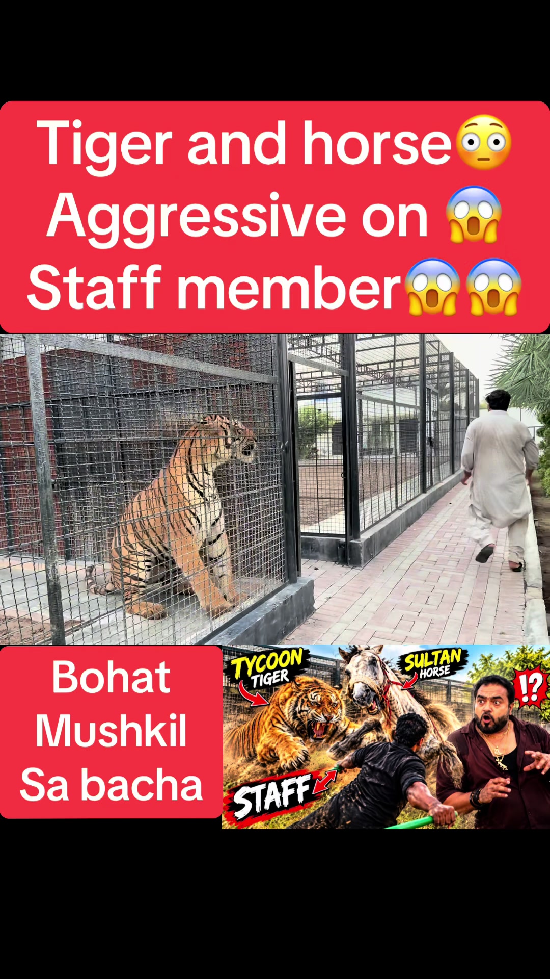 @Mian saqib