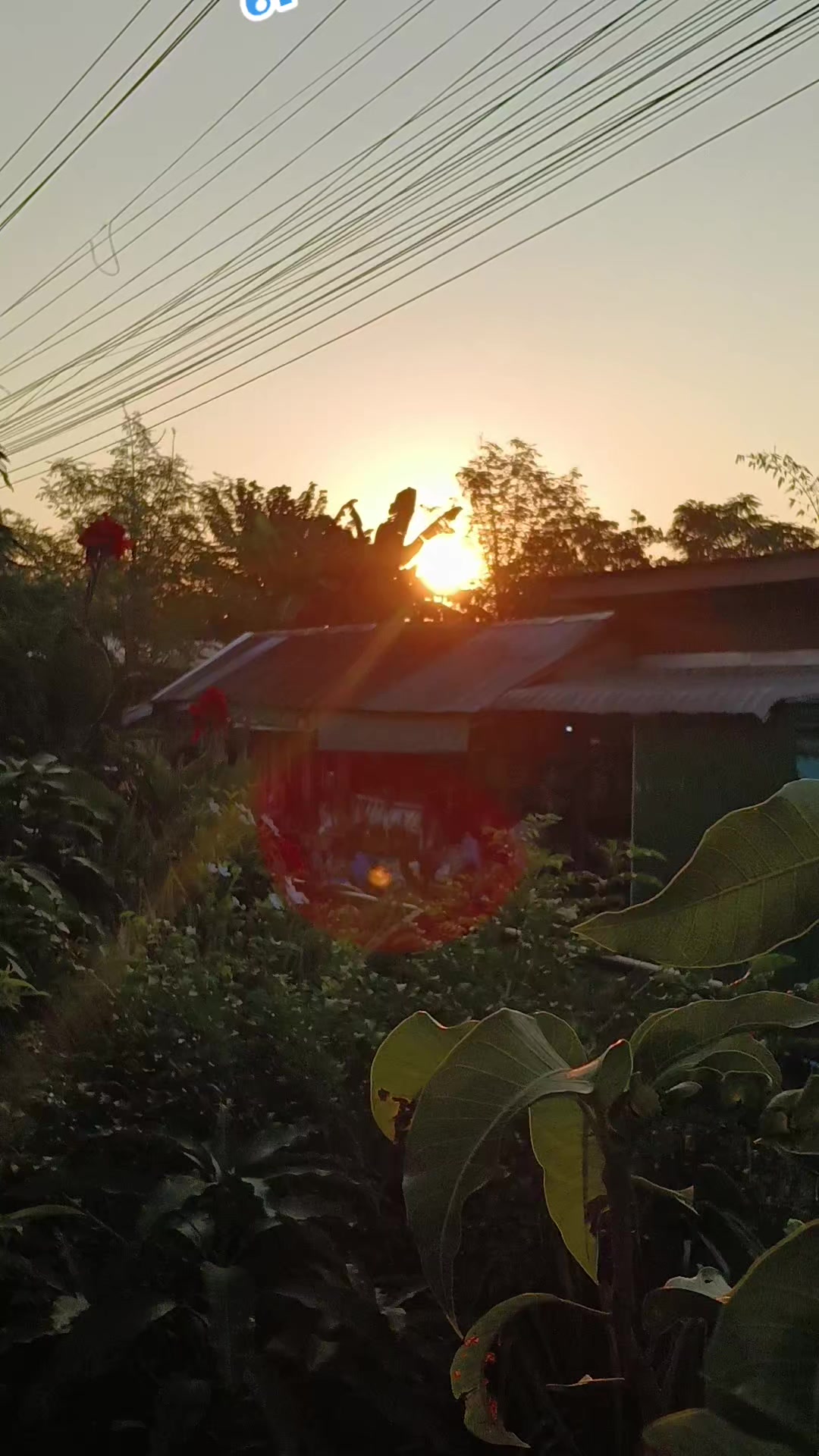 @pranee