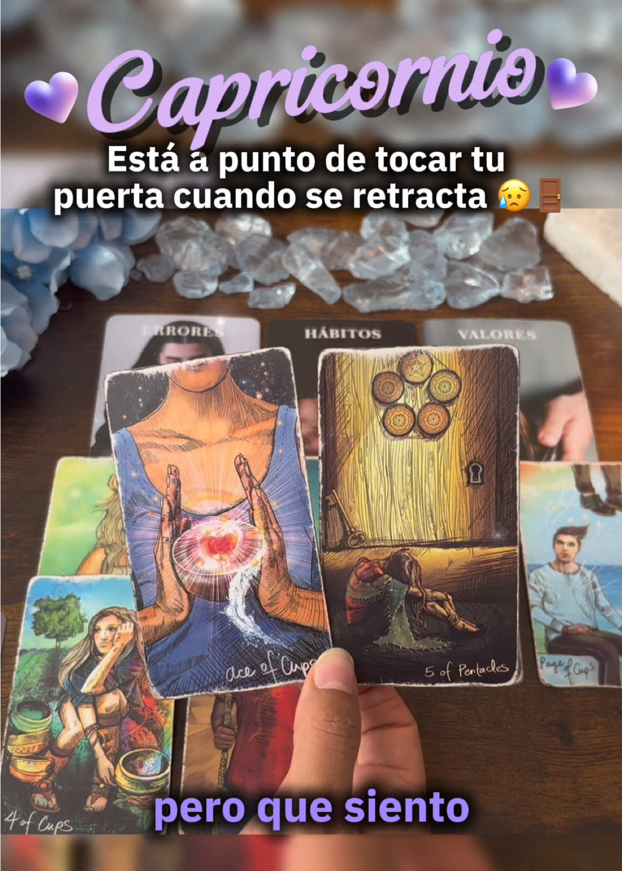 @Andy Sun Tarot ☀️
