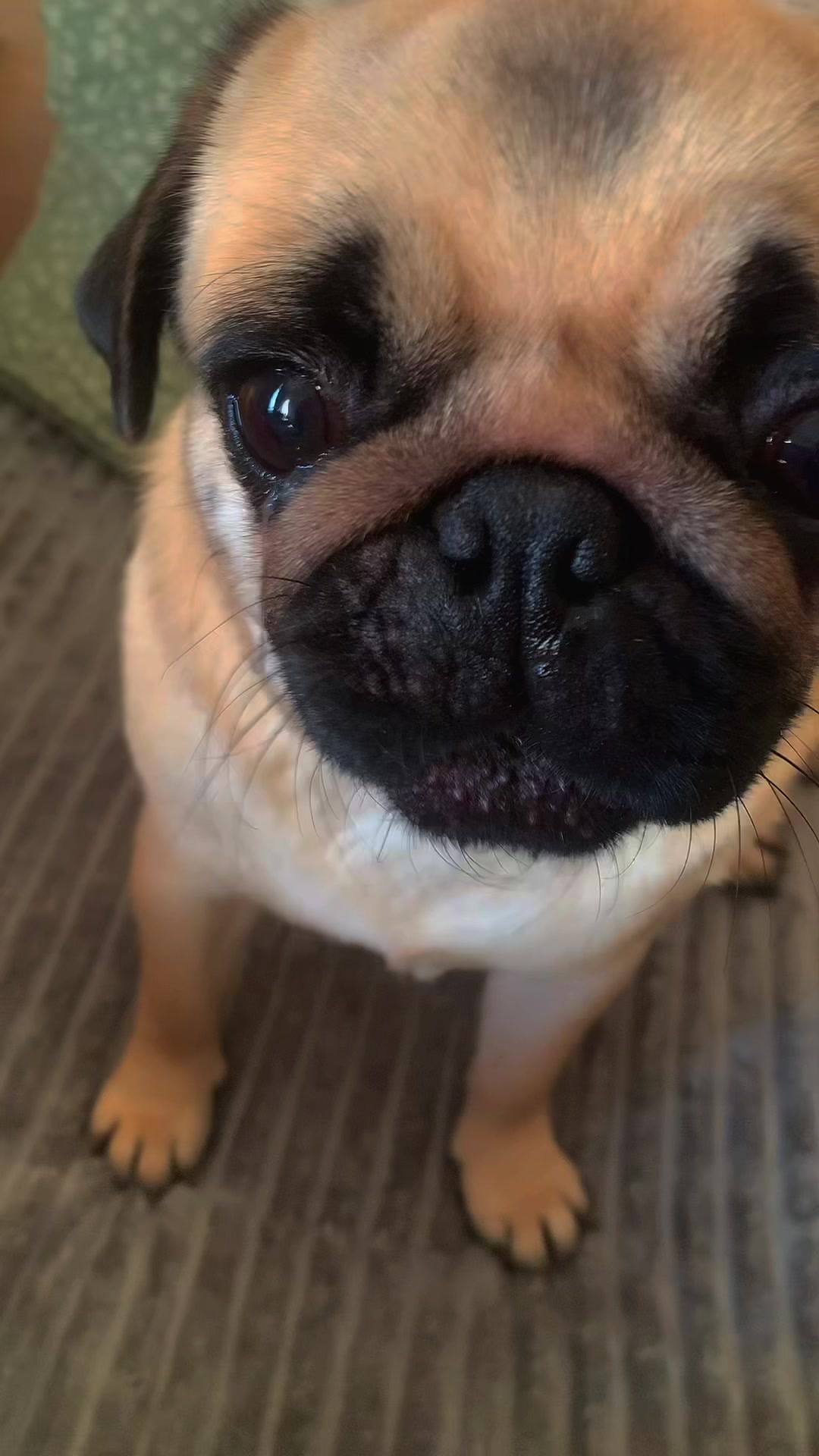 @Инна❤️