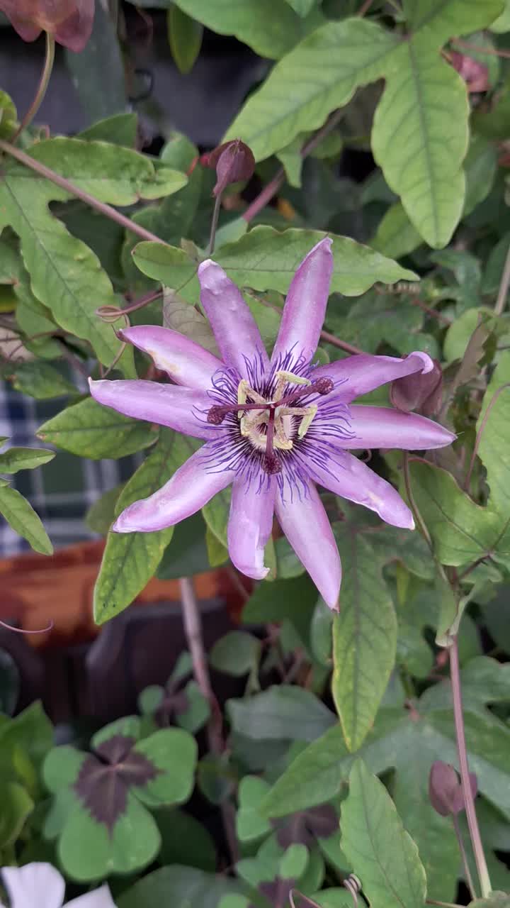 @Natur und Garten