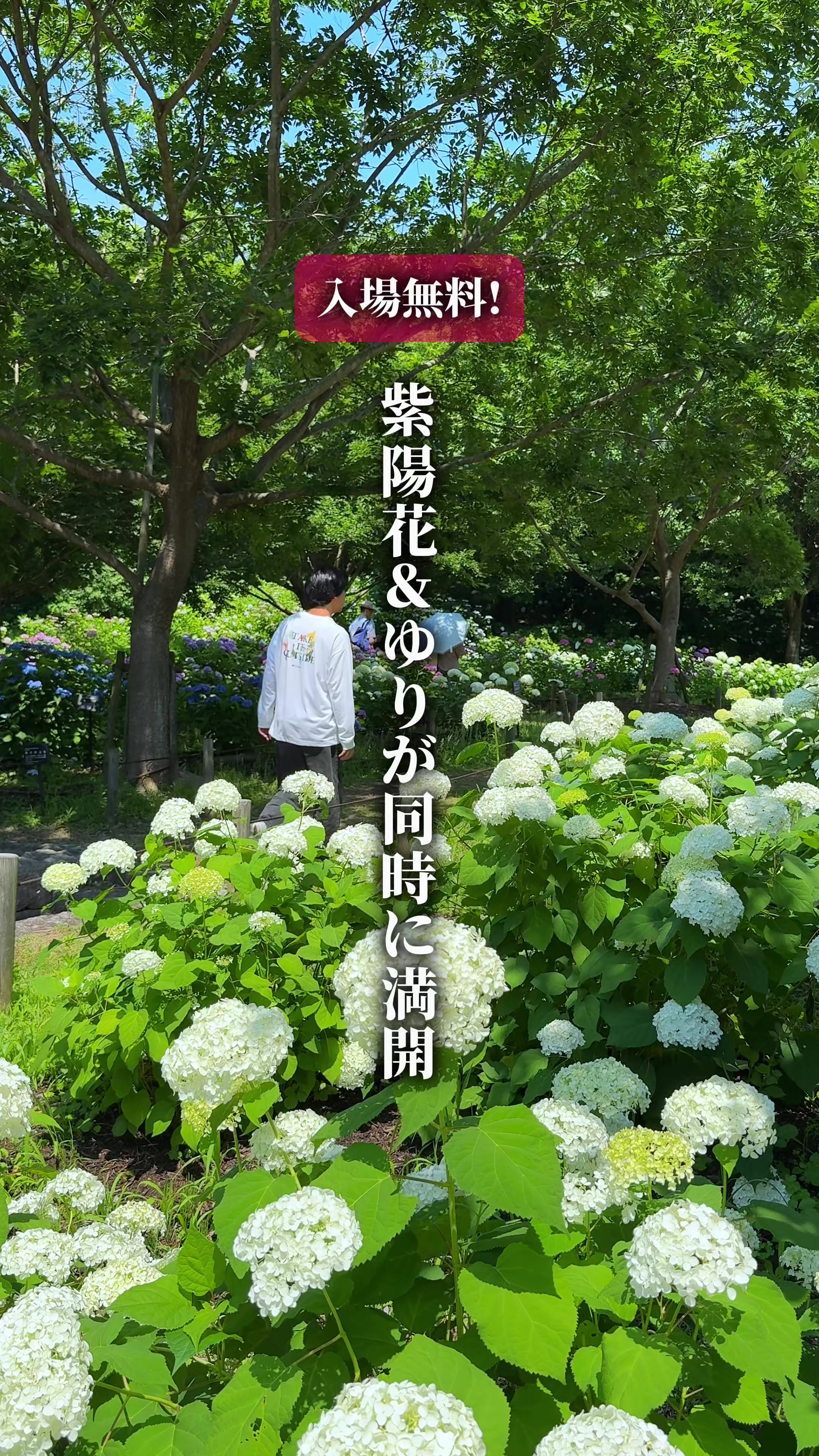 @ひろと / 大阪発！関西トレンド独占旅🔥