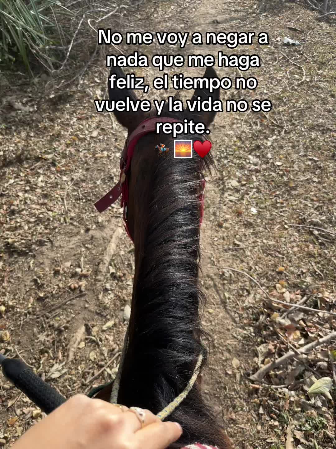 @Megela2