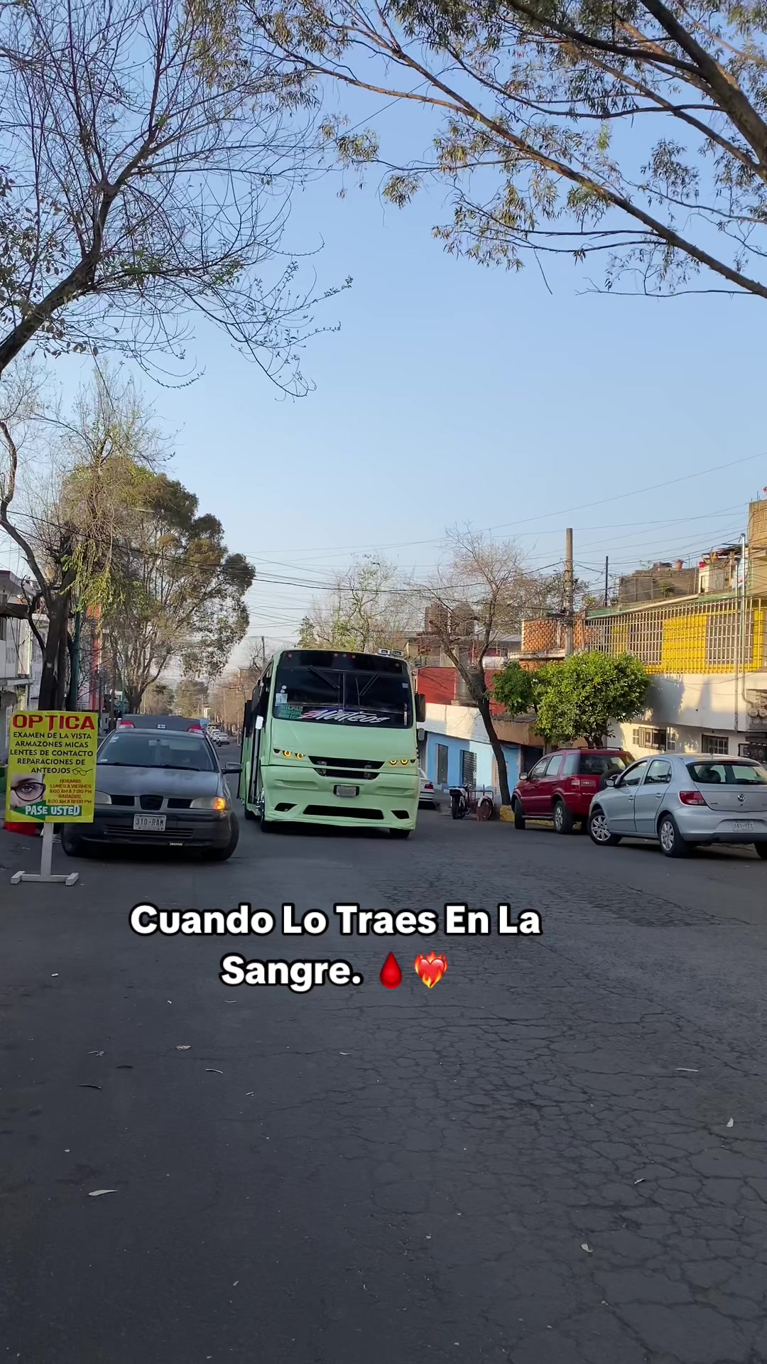@BUSES ELEGANTES.🔥
