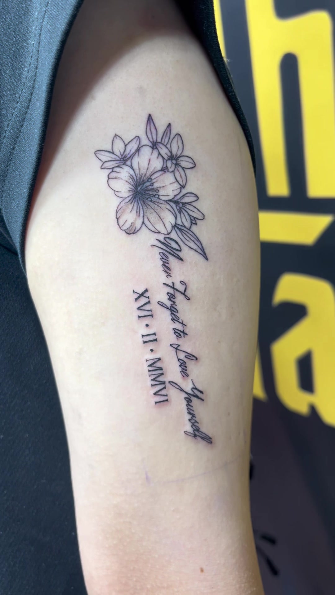 @Tattoocats.yochi