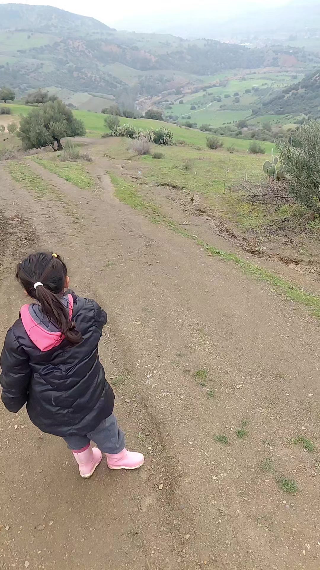 @فارس