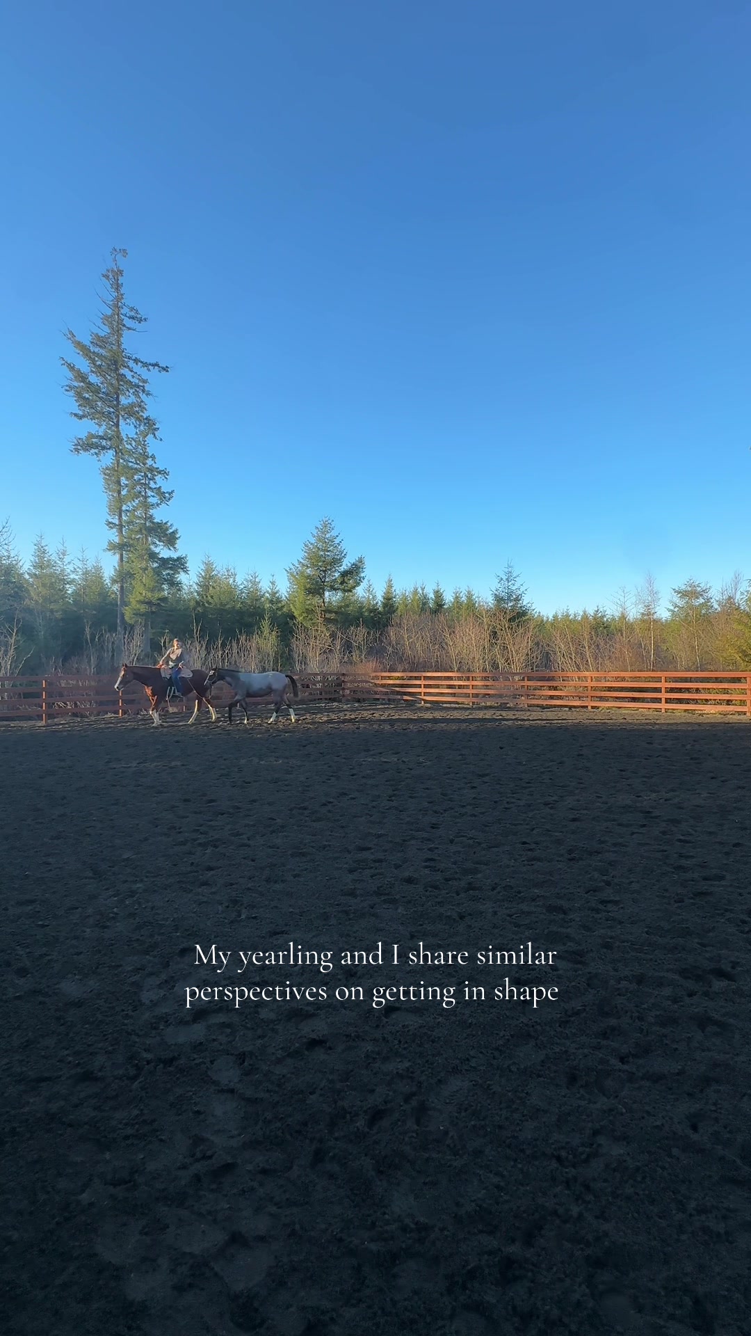 @Cait | Red Mare Owner