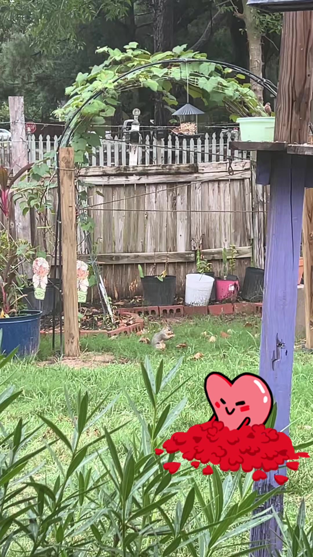 @Mariposita