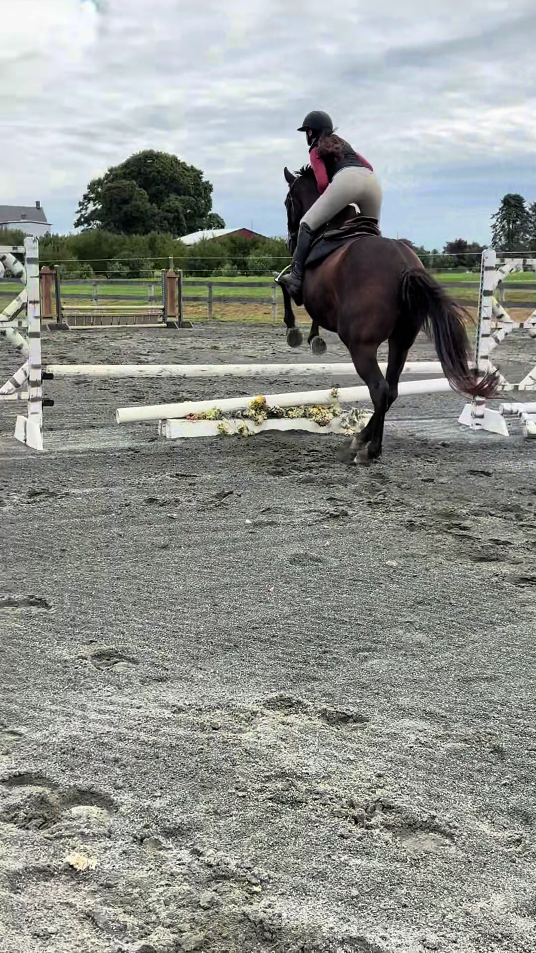 @Aftyn 🐎