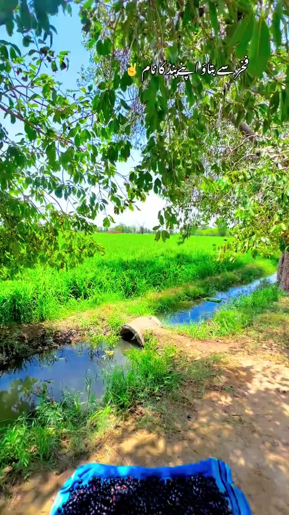 @waqar5730