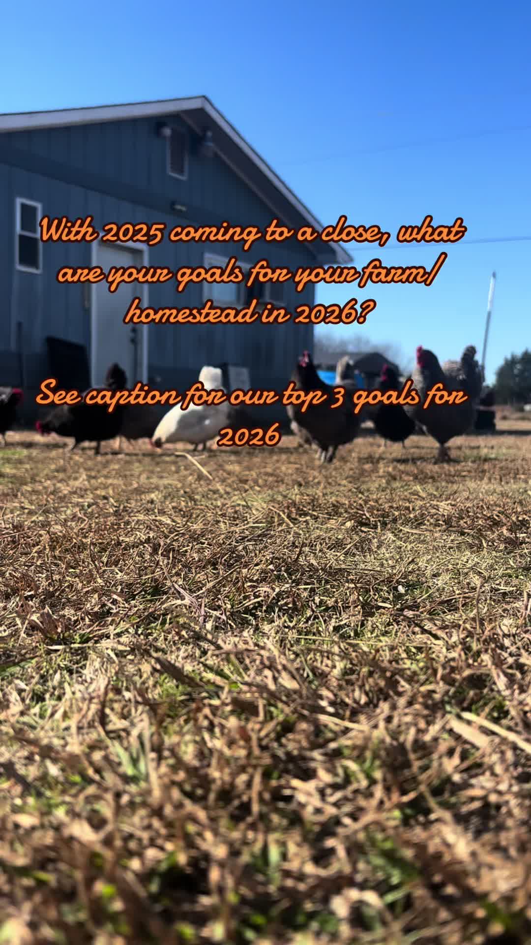 @C&B Chaos Farms