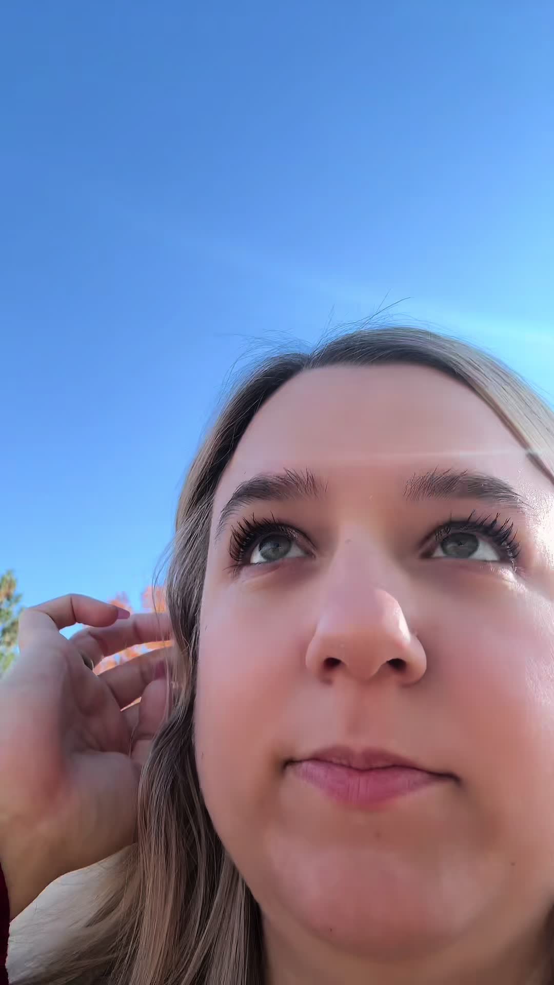 @momerik911