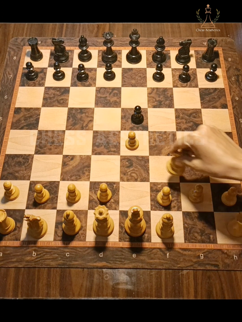 @Chess Aesthetics