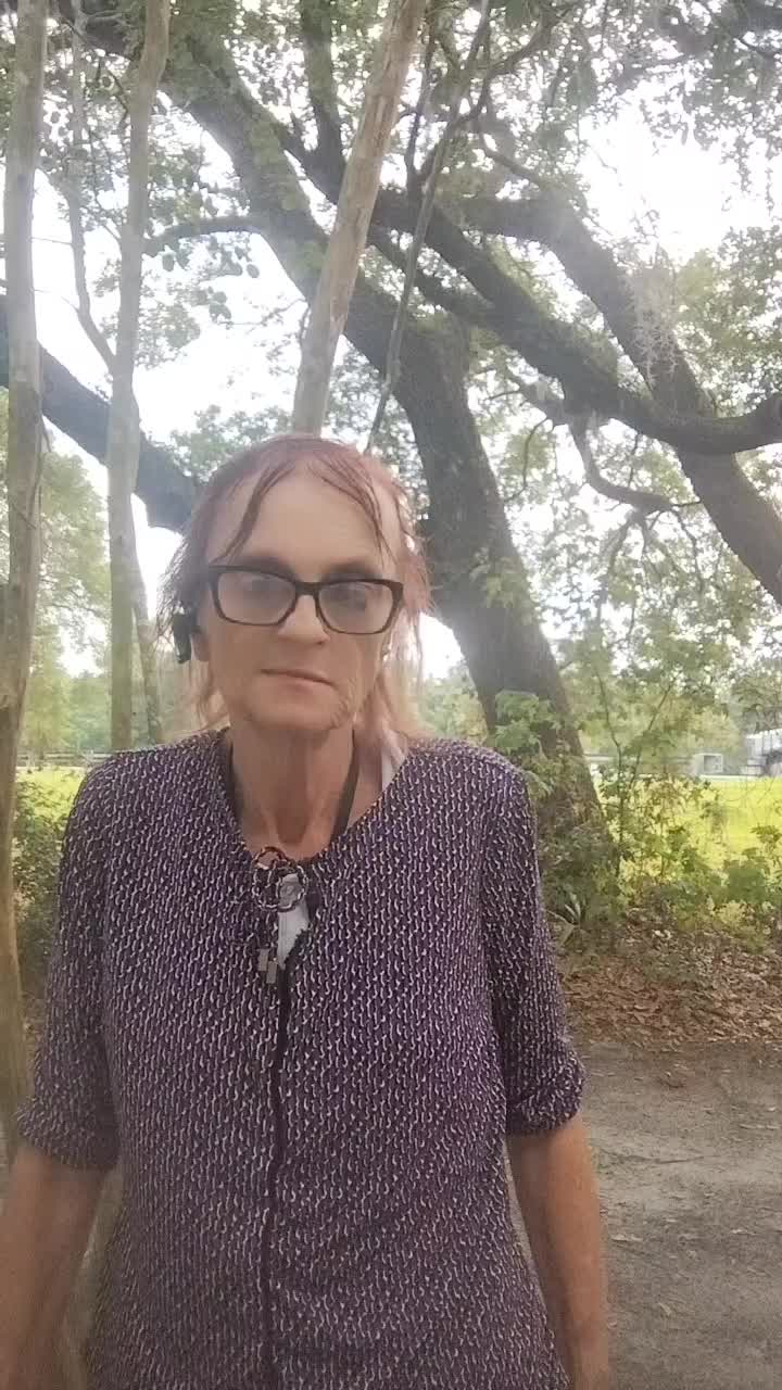 @dorothyvirts545