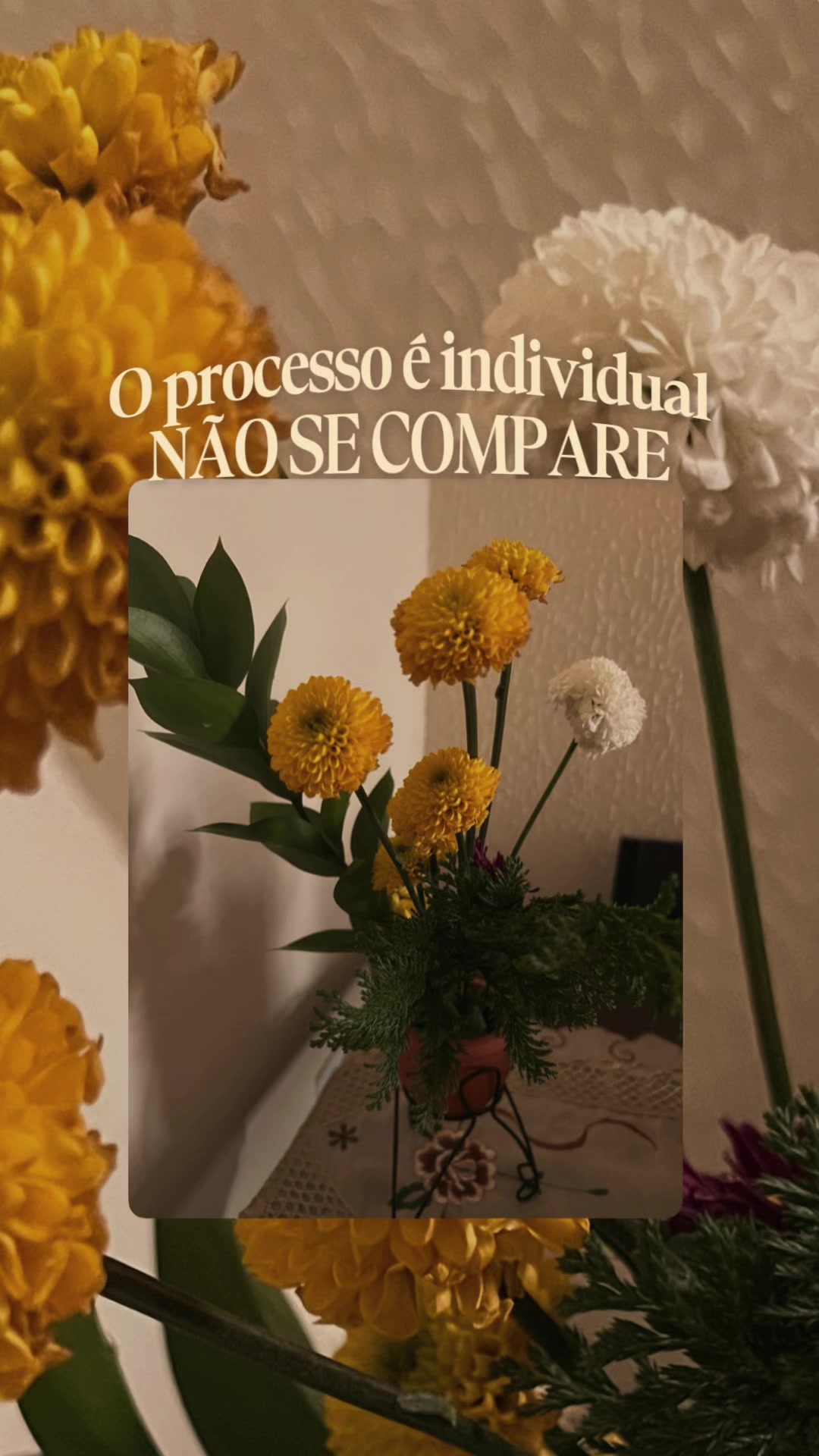 @Maga Chaves🌻