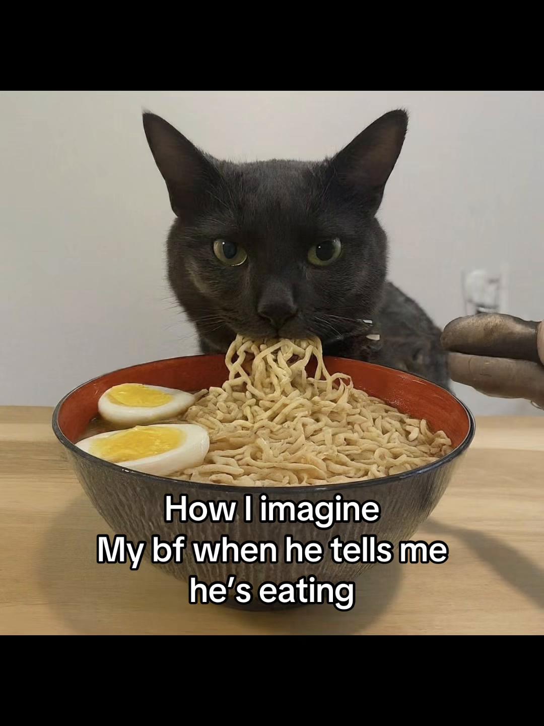 @LavanderCat