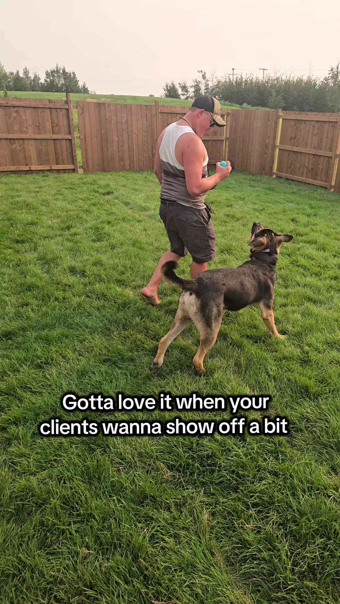 @Kairo's K9s Training 🇨🇦