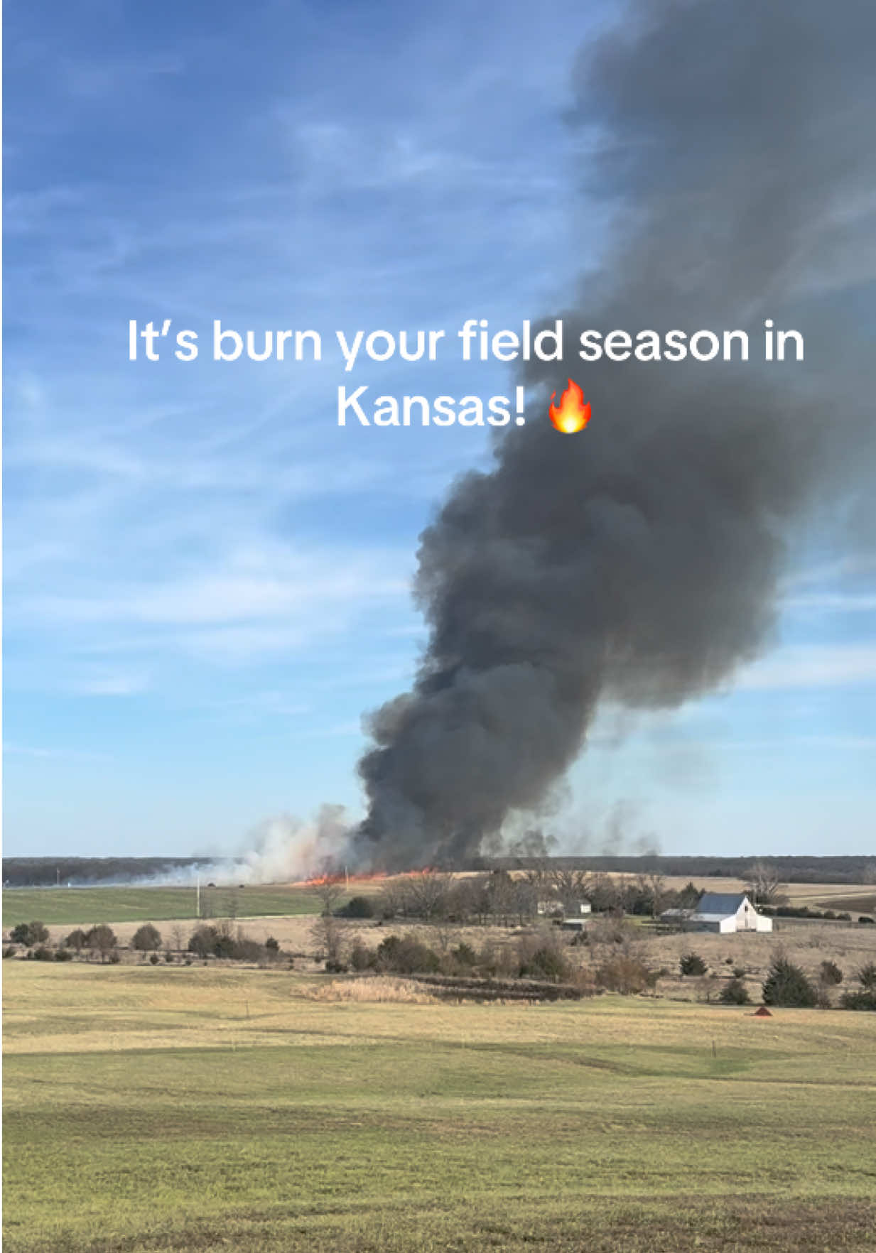 @prairiepiglets