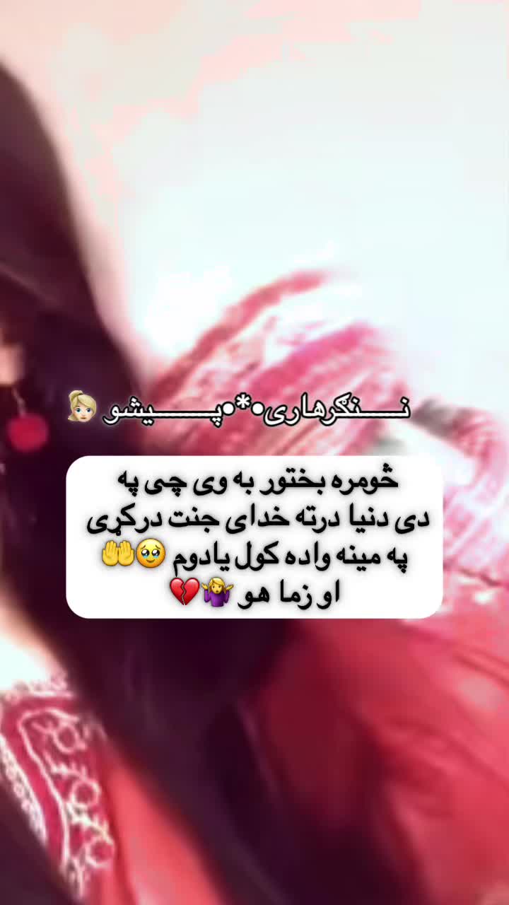 @ننګرهاری ☆♡☆ پیشو ☆♡☆