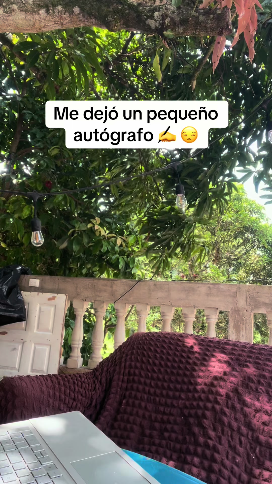 @Rohel y Mateo