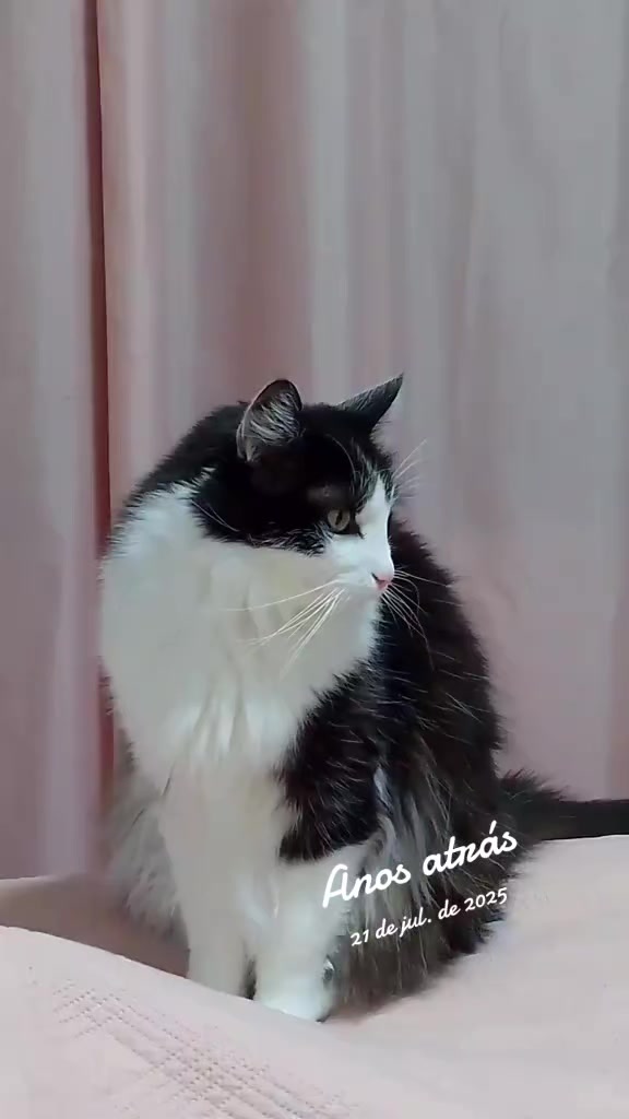 @cissarossato🍒😻
