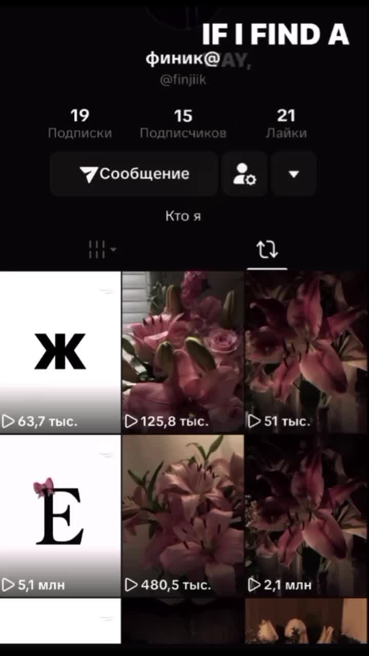 @𝕾𝖎𝖌𝖆ᬊ🌻