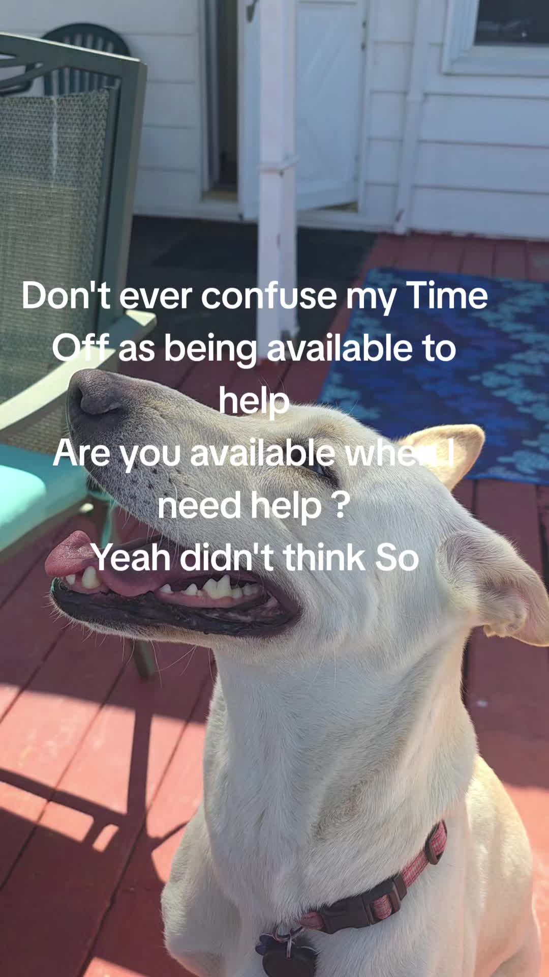 @Snowhite7
