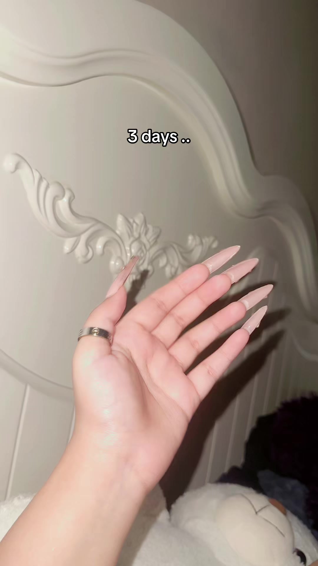@rizadirextoner2