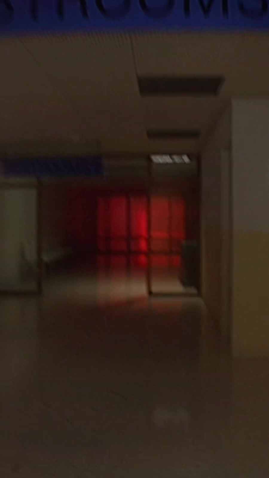@wonderback.exe